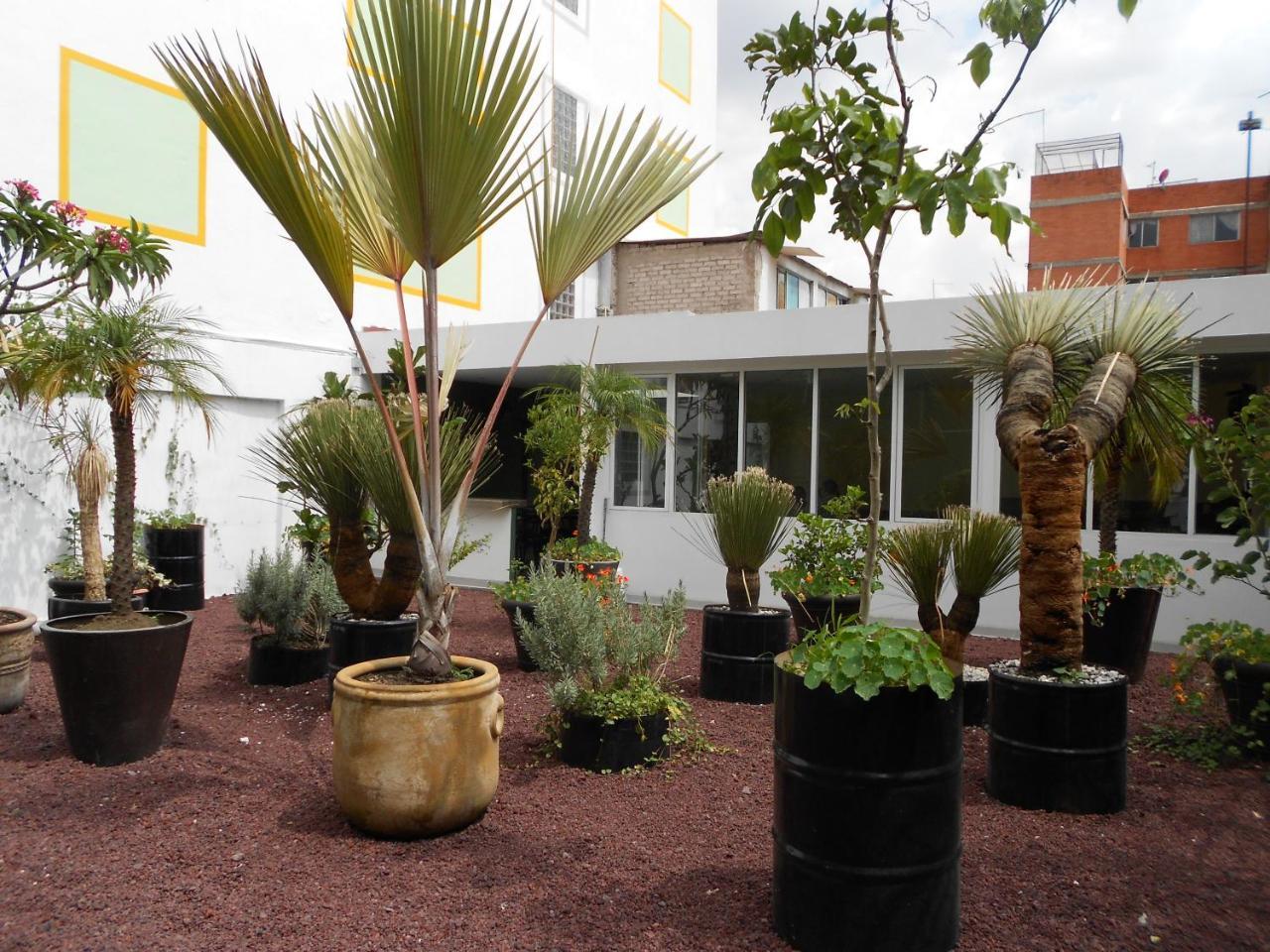 Hotel Dharma Mexico City Exterior photo